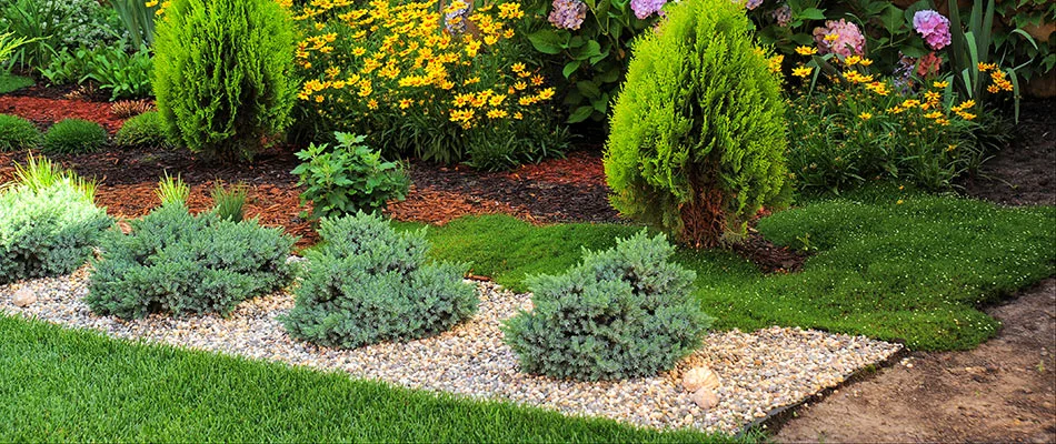 Beautiful landscape bed with rocks and shrubs and healthy plants near Grand Junction, CO.