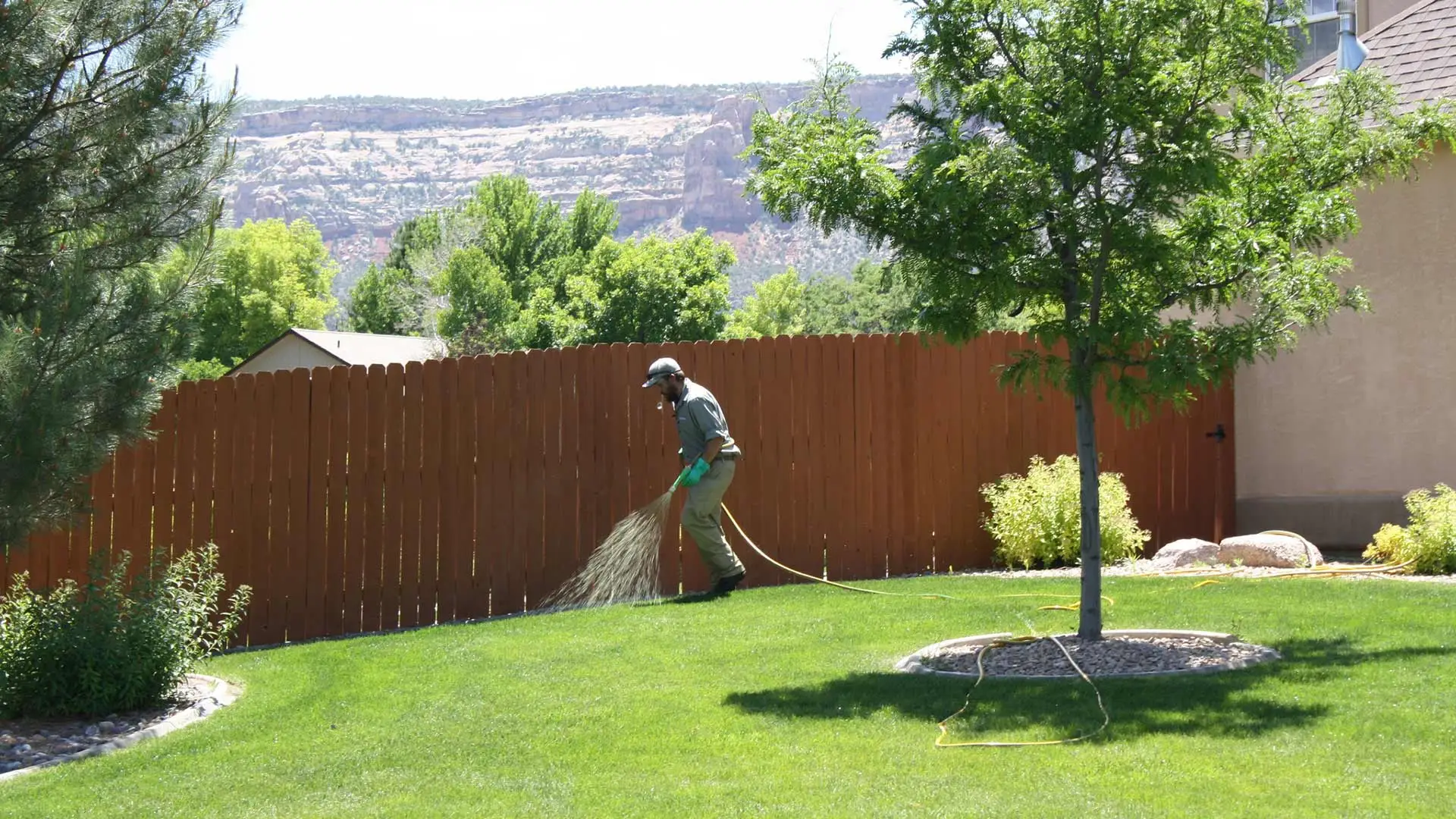 A beautiful lawn being fertilized by a lawn care expert in Grand Junction, CO.
