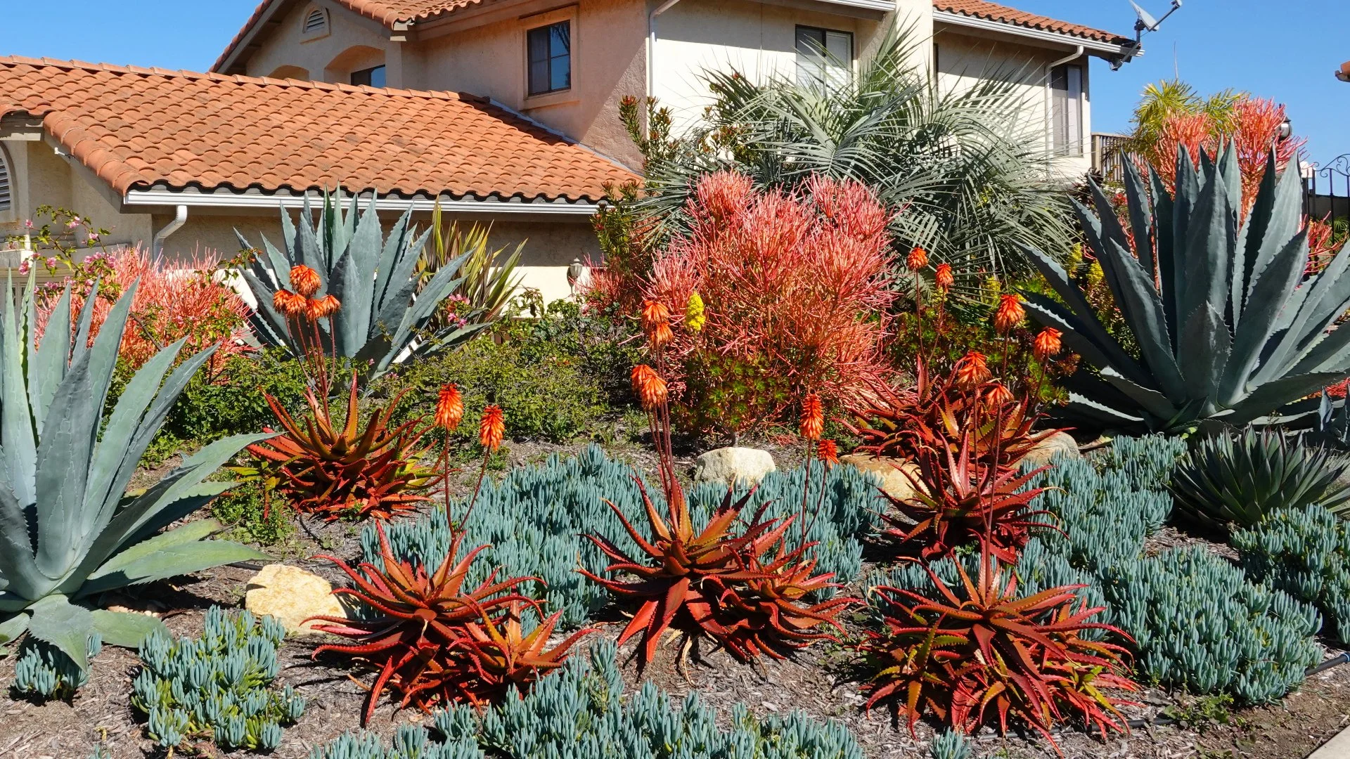 Consider These Things Before Installing New Plants in Your Landscape Beds!