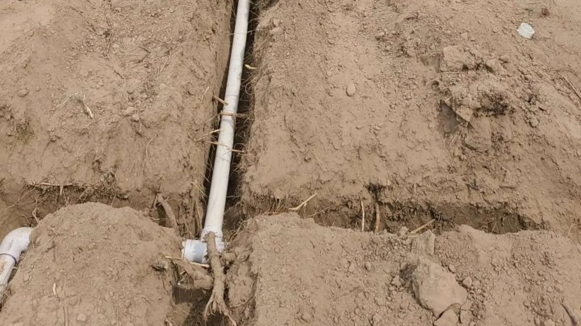 Is It Worth It to Have an Irrigation System Installed on Your Property?