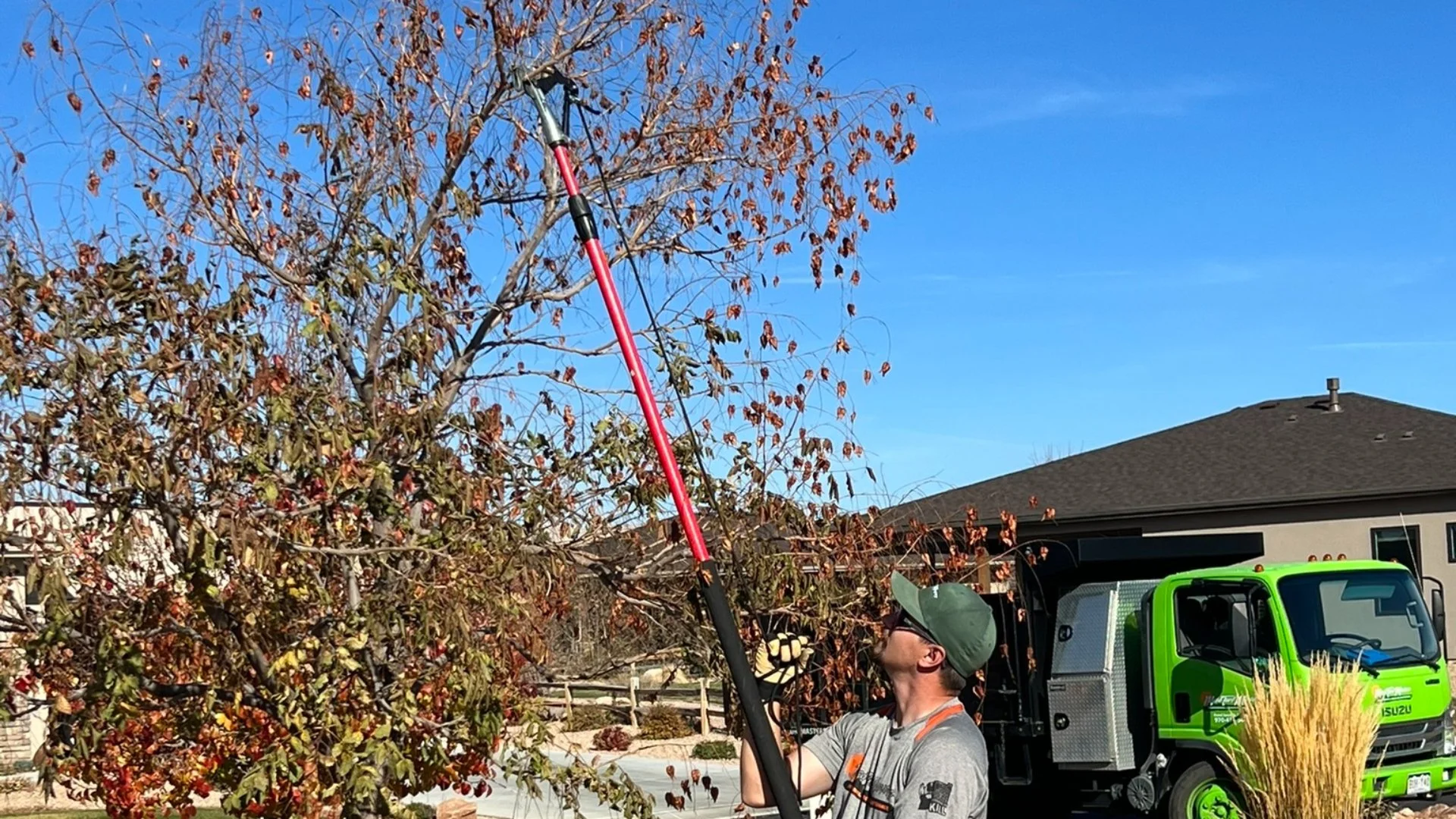 Trimming vs Pruning - Is There Any Difference Between Them?