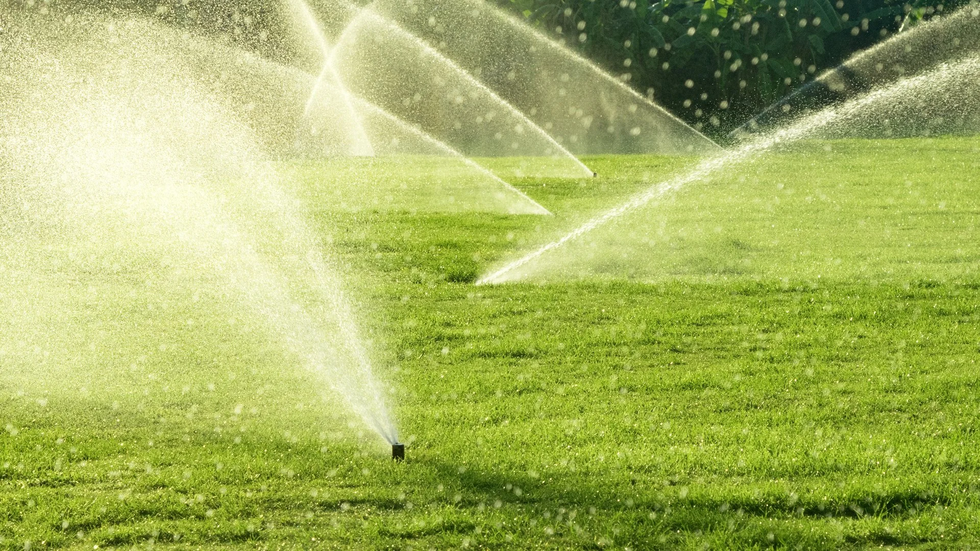 How to Keep Your Irrigation System in Optimal Condition to Avoid Potential Issues