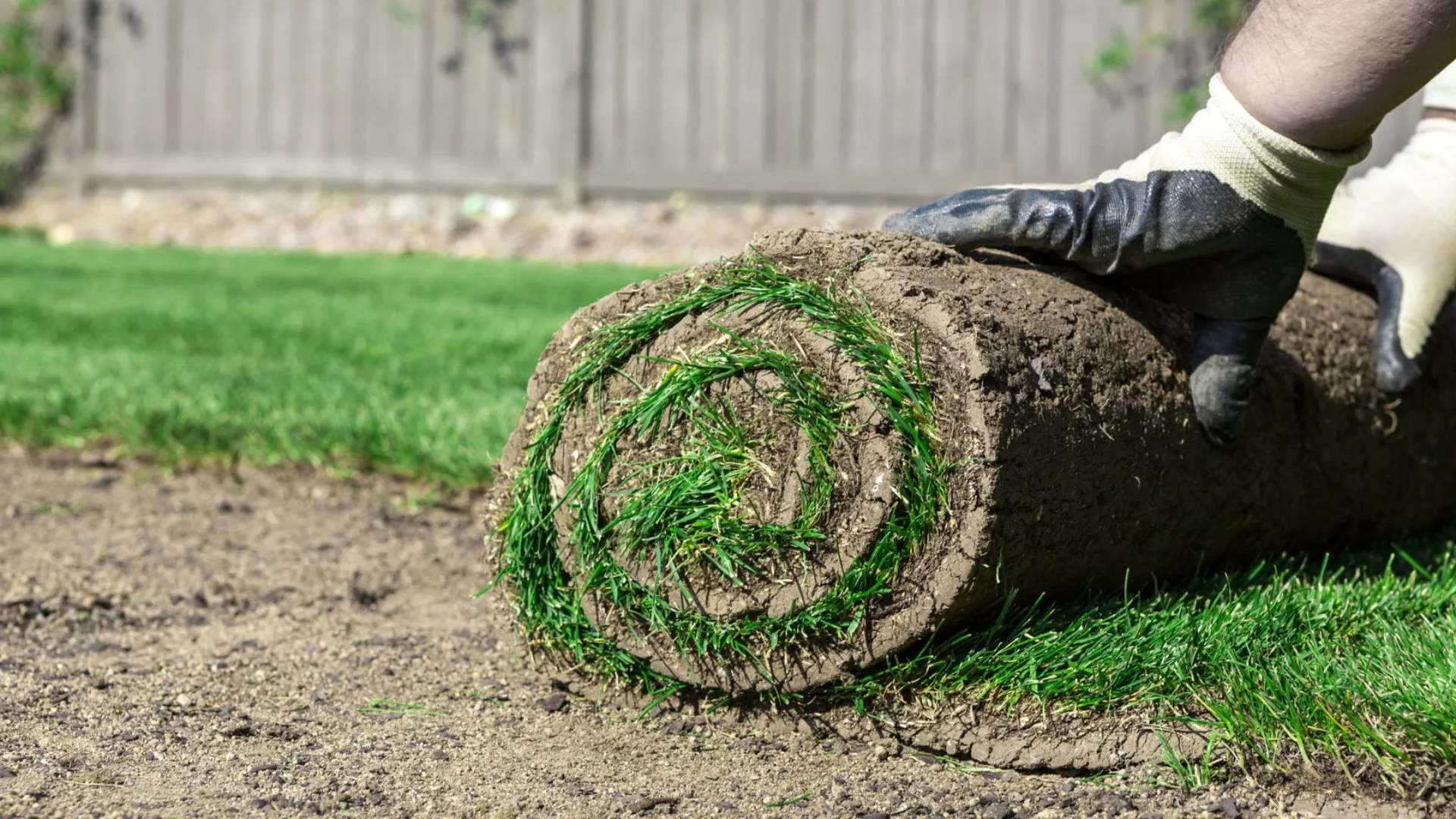 Can Sod Really Give Me a Beautiful New Lawn Right Away?