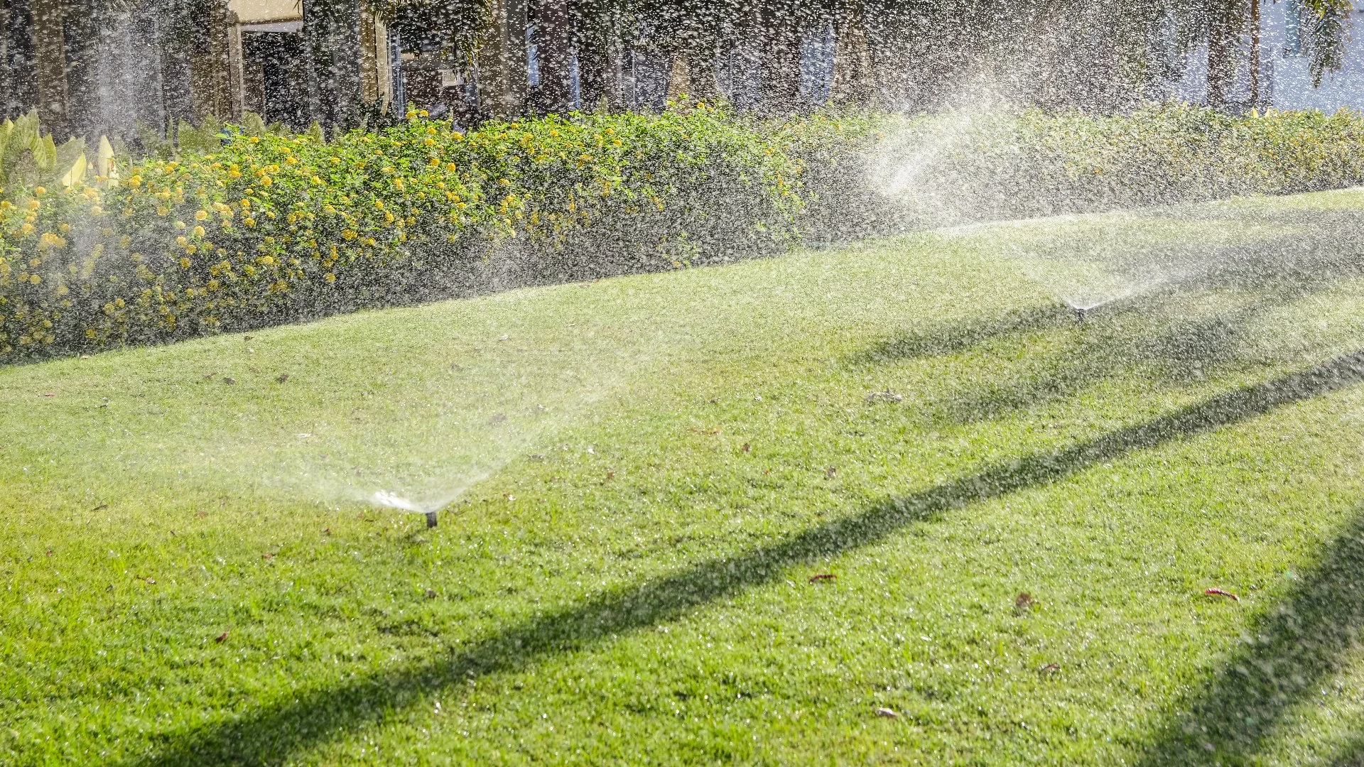 Should I Install a Sprinkler or Drip Irrigation System on My Property?