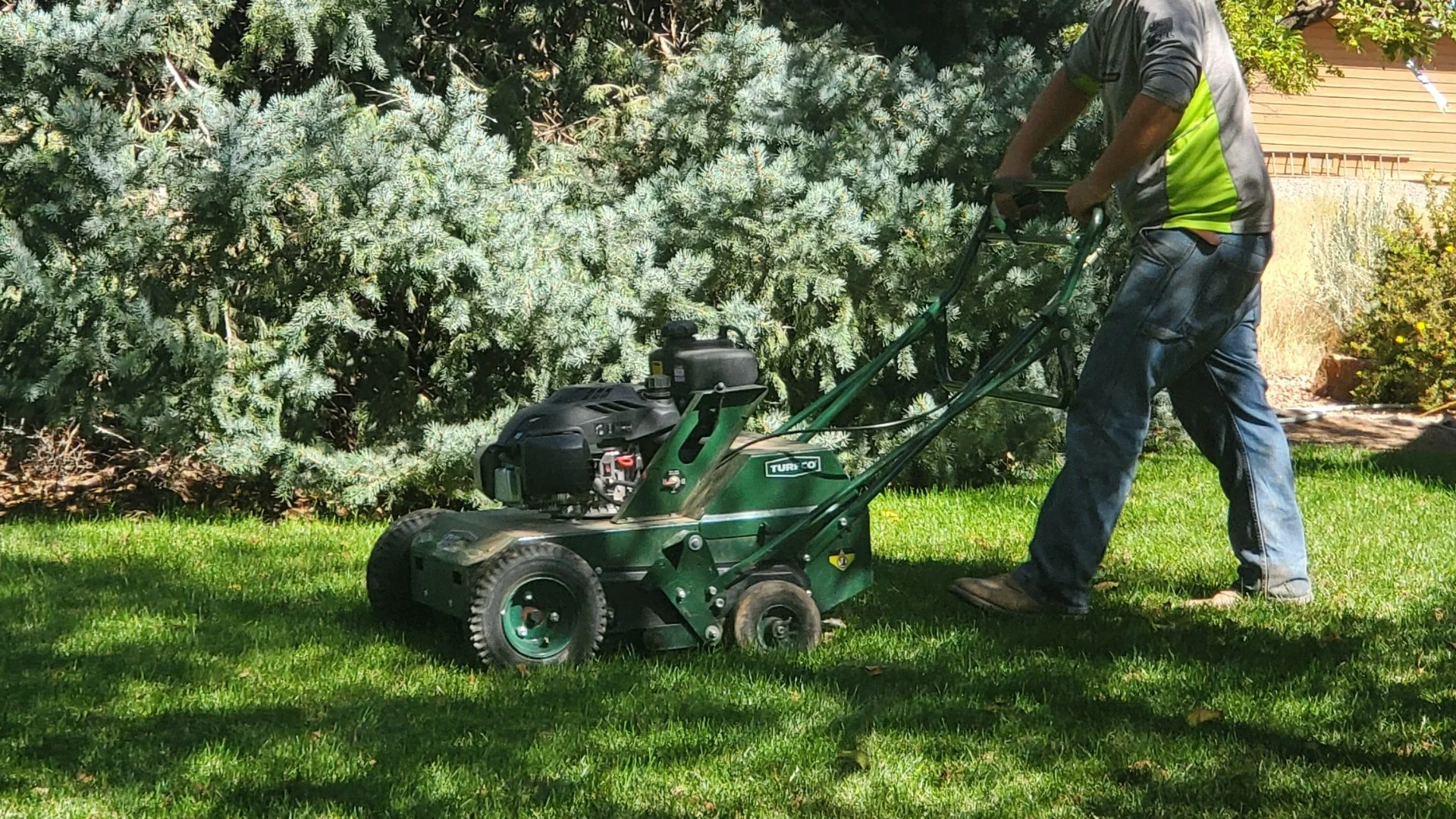 Mowing New Sod: What Should You Know?