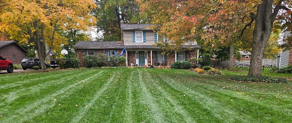 Well-manicured lawn with stripes and colorful foliage in Grand Junction, CO.