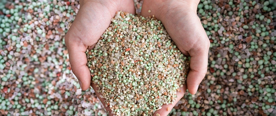 A worker is scooping granular fertilizer from a container with their hands to prep for work.